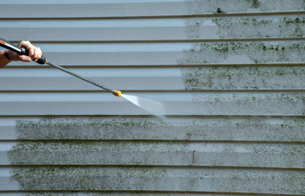 Pre-Holiday Cleaning in Charleston, AR